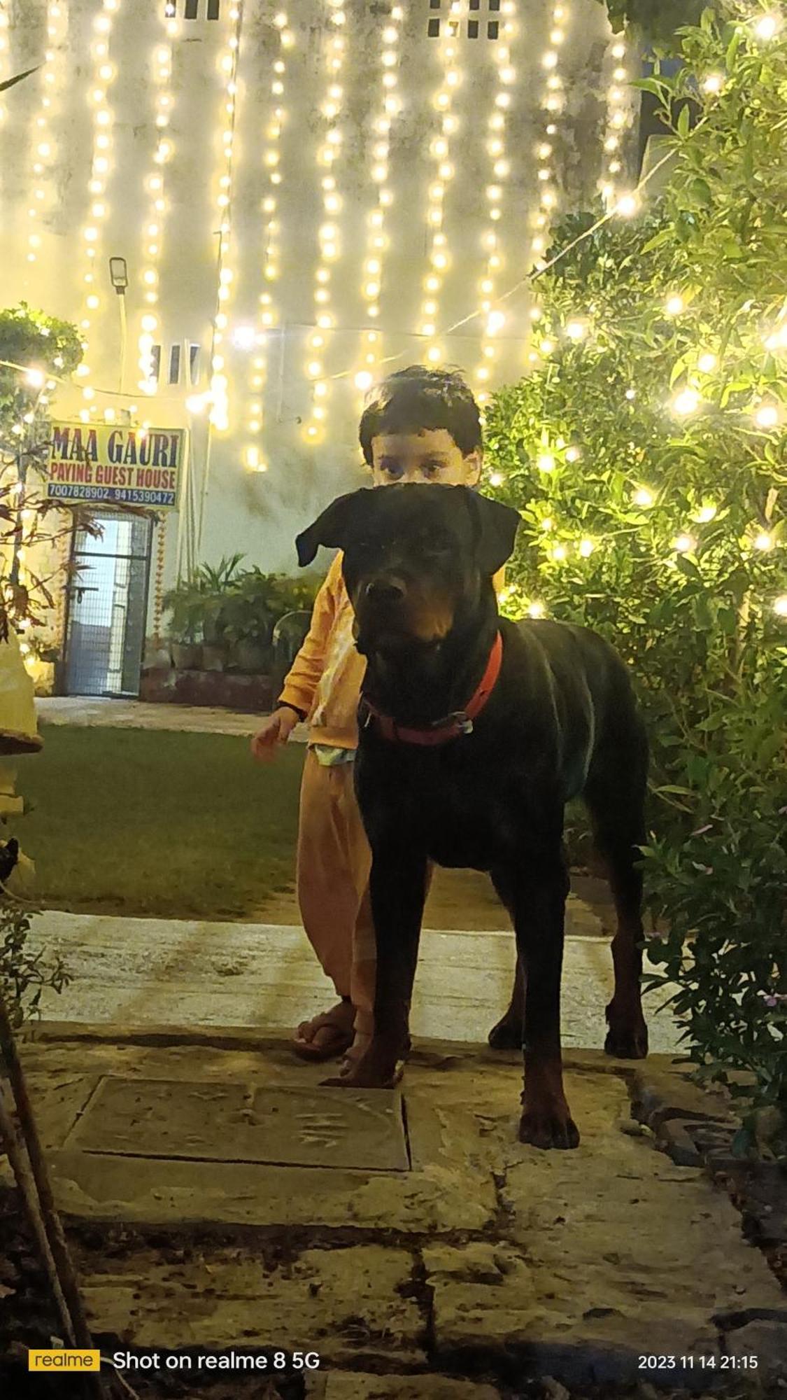 Maa Gauri Paying Guest House Βαρανάσι Εξωτερικό φωτογραφία